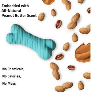 Playology Dual Layer Bone Dog Toy Peanut Butter Scent for Tough Chewers, Medium